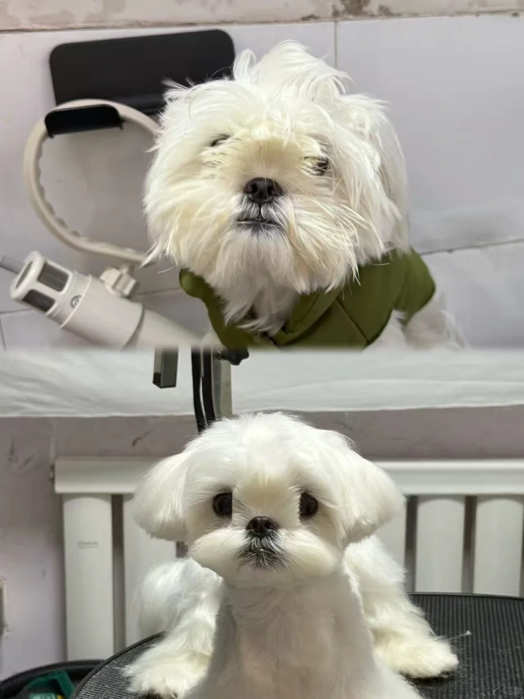 我的小宝，找女朋友