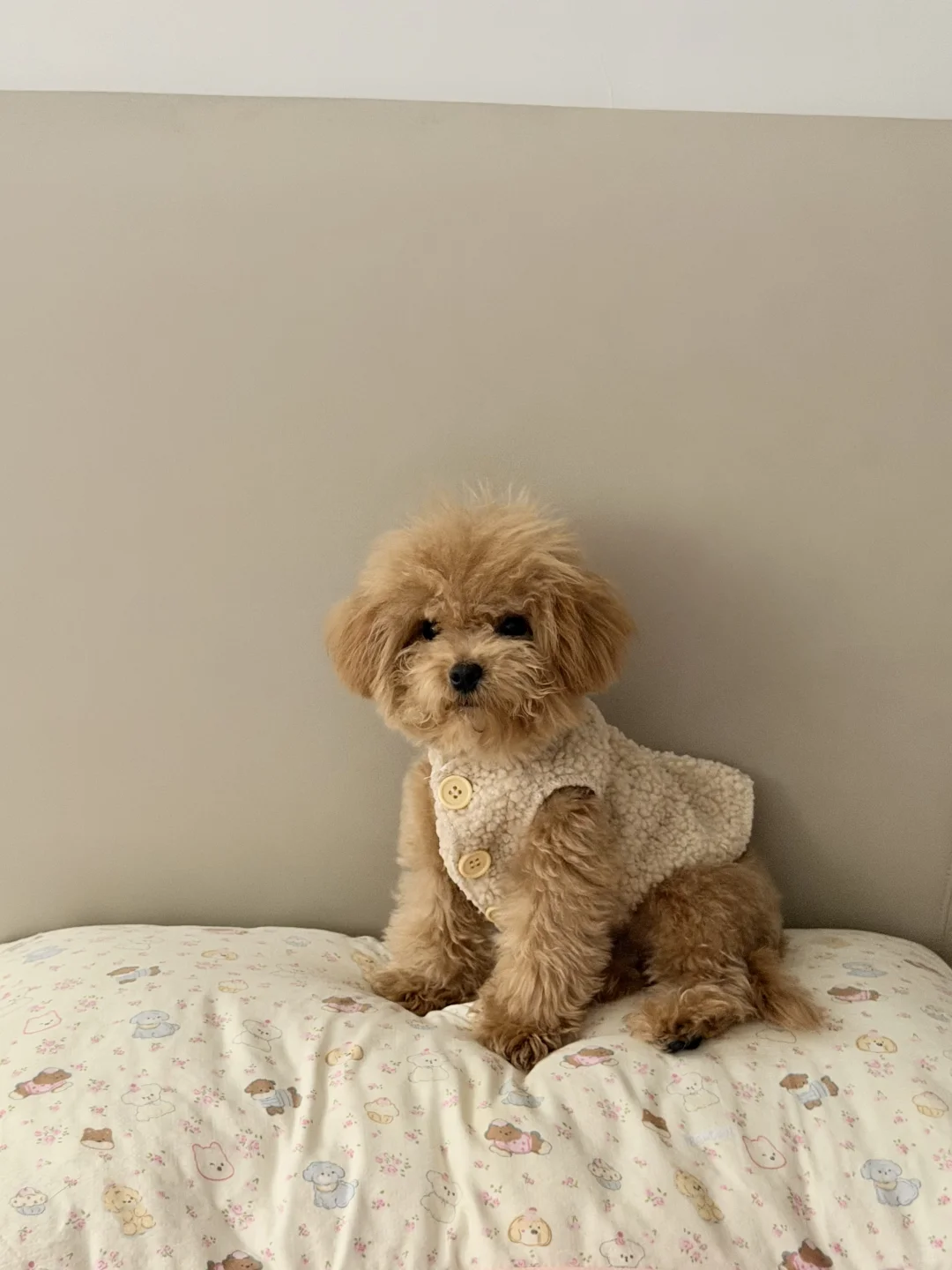 杭州马尔泰找女朋友