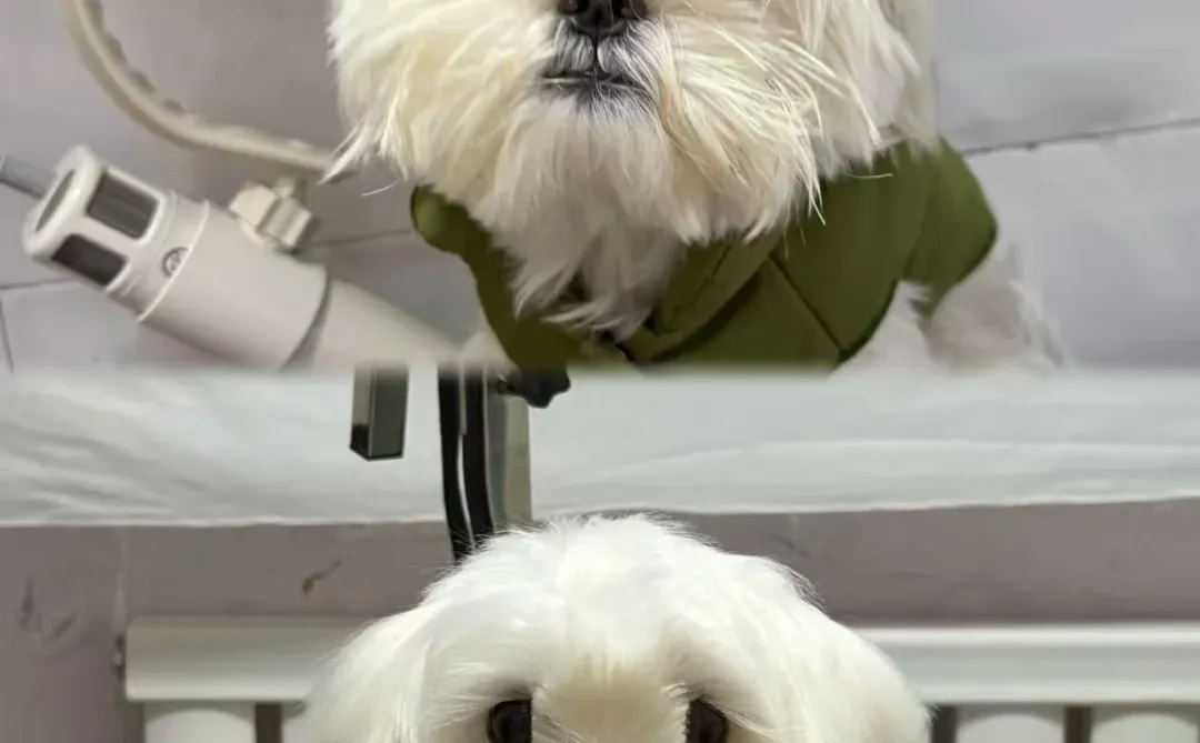 我的小宝，找女朋友