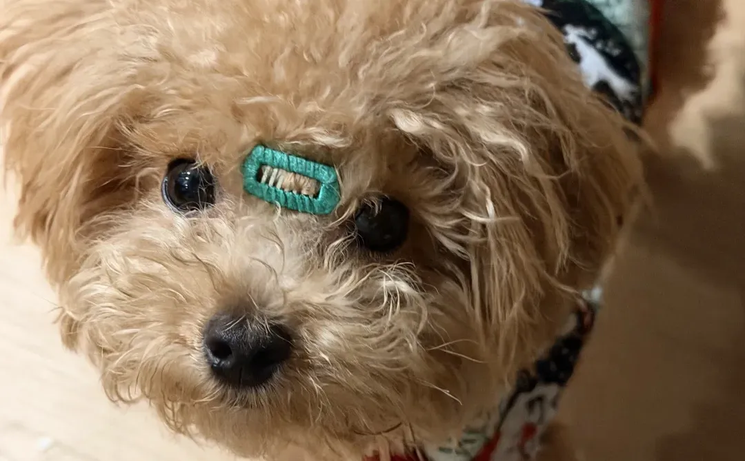 杭州马尔泰找女朋友