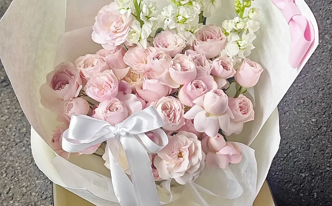 总要送一次的仙子之吻