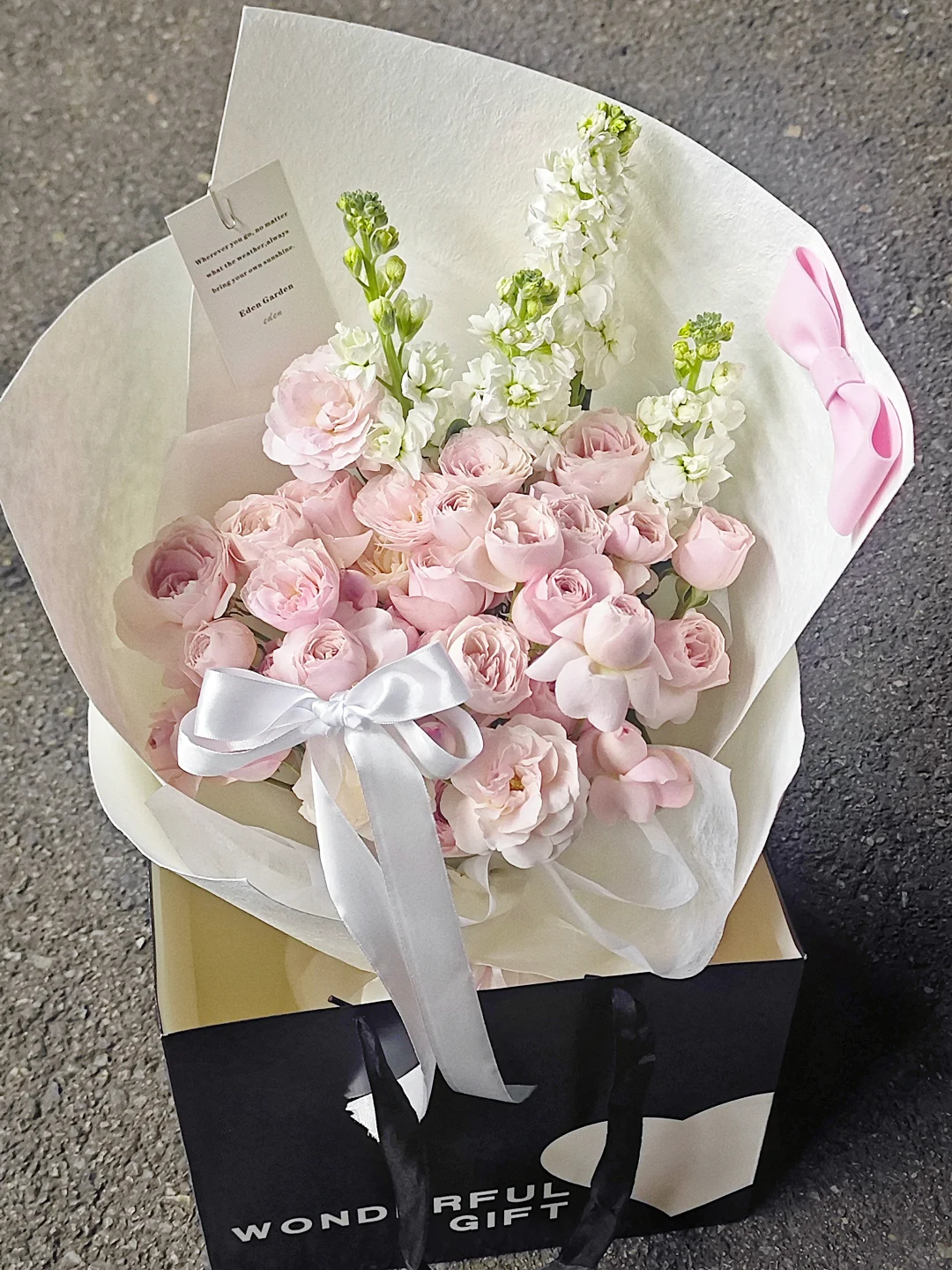 总要送一次的仙子之吻