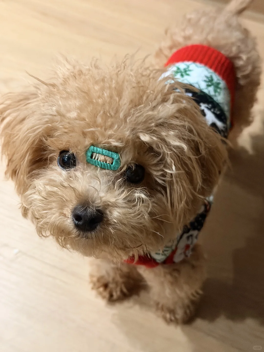 杭州马尔泰找女朋友