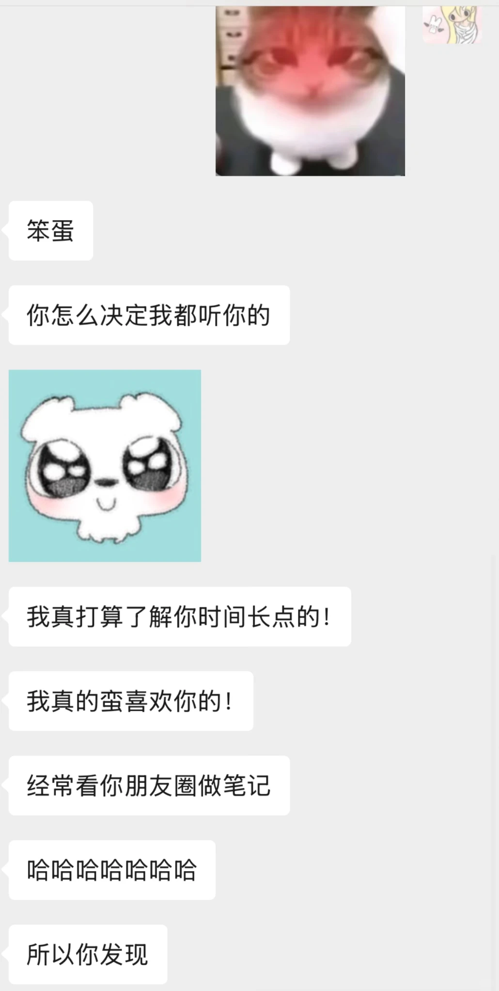 这是什么小狗型恋人。。