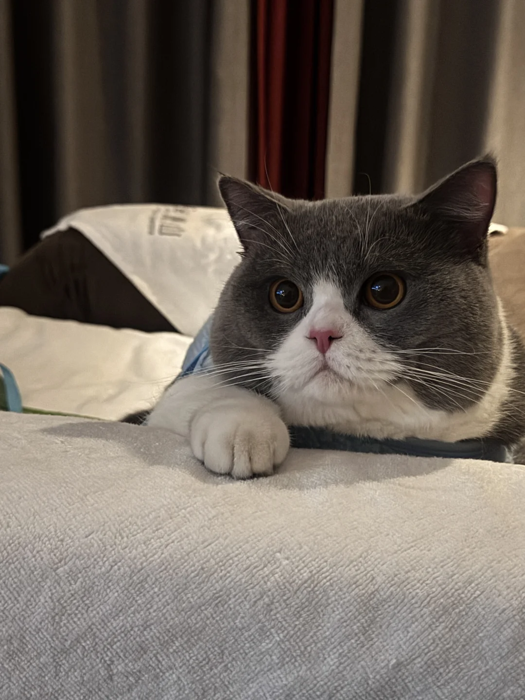 萍乡蓝白弟弟找女朋友