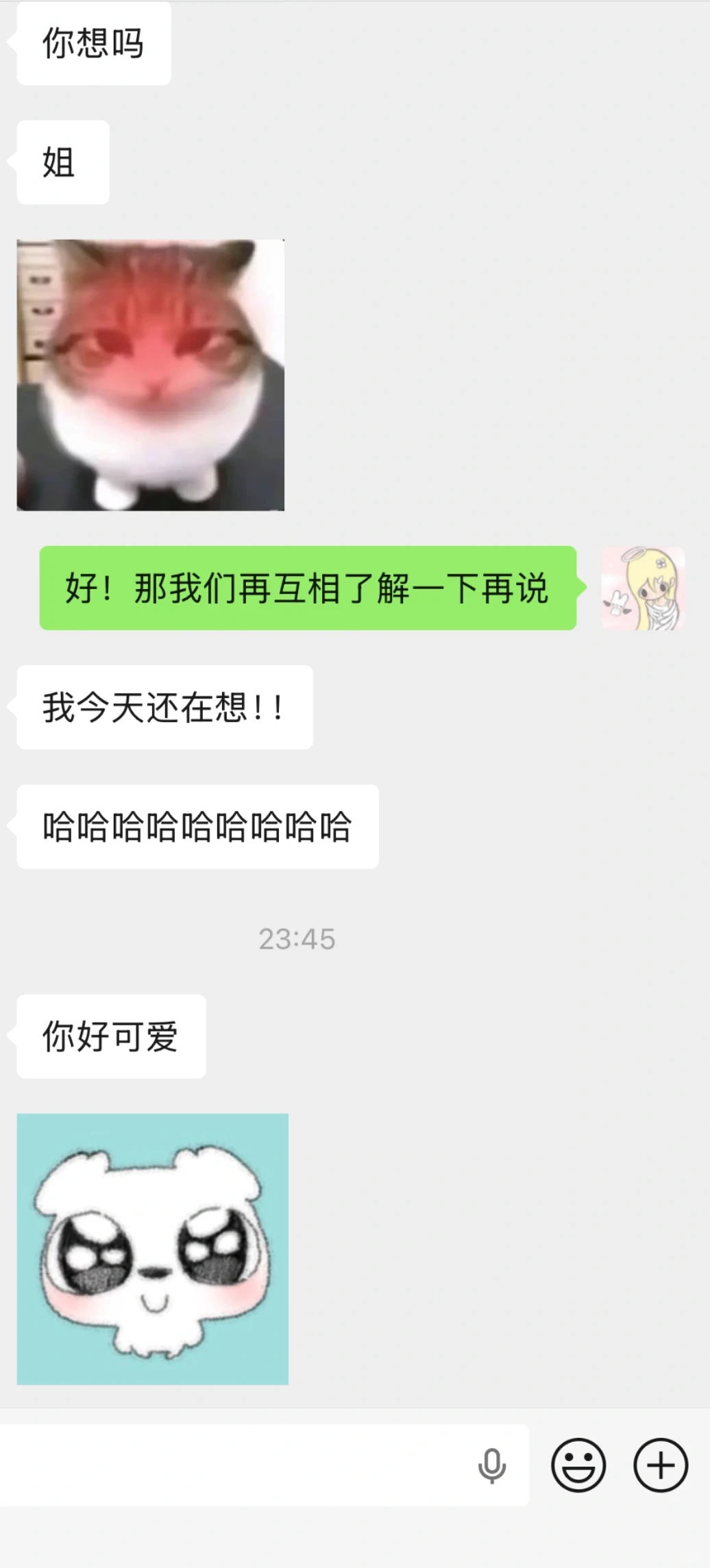 这是什么小狗型恋人。。