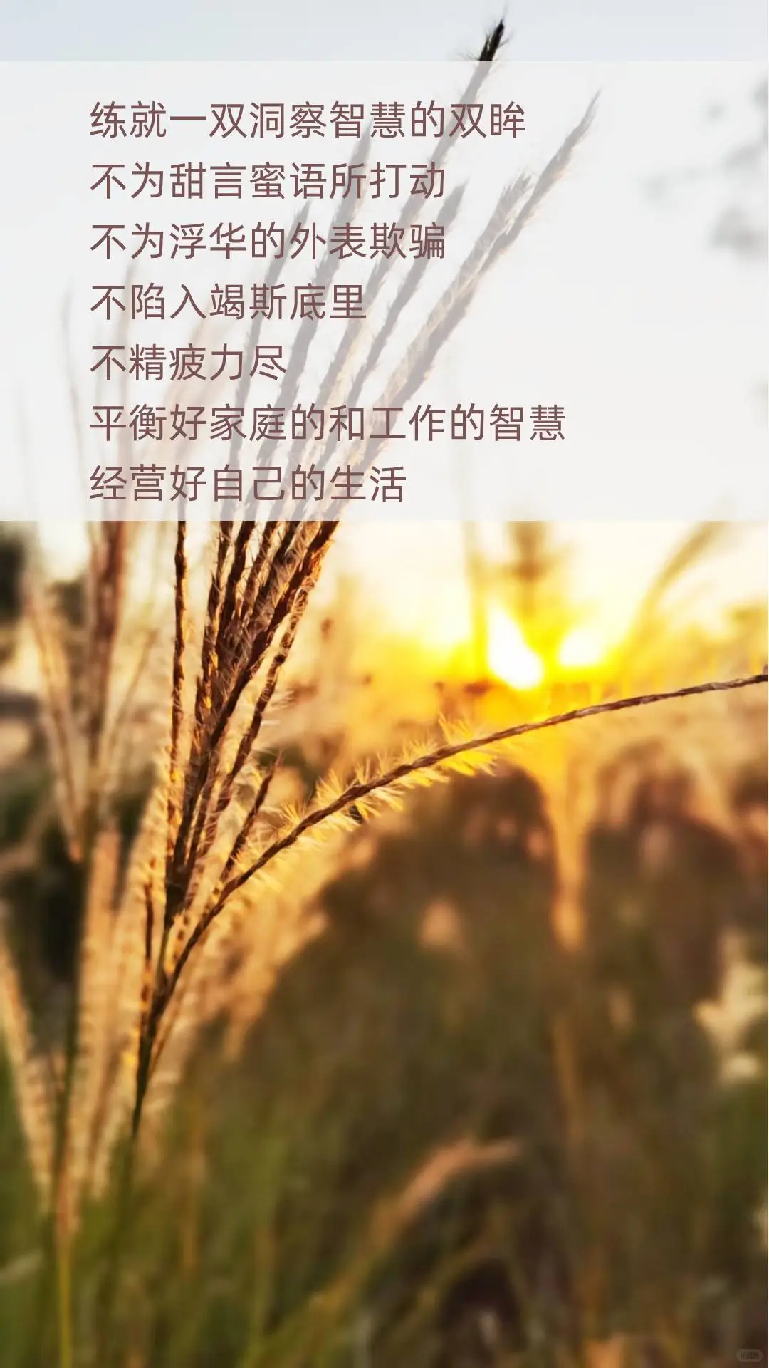 婚姻不是终点站