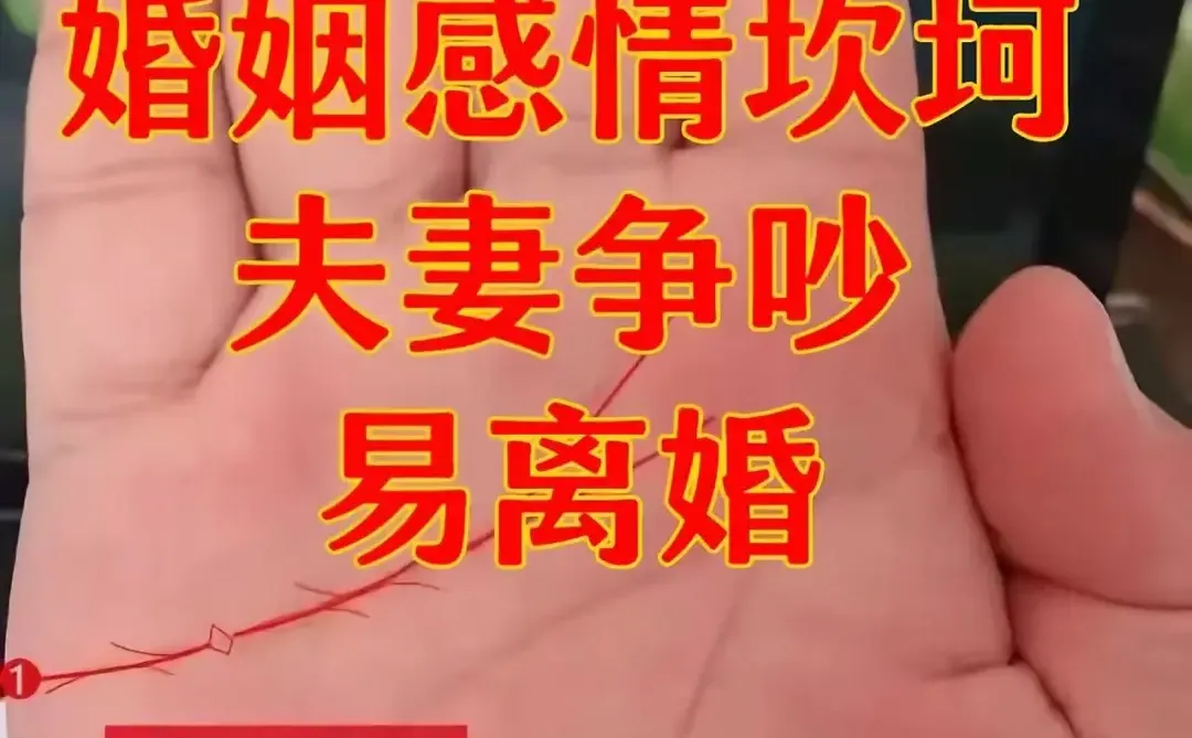 婚姻不好的手长啥样