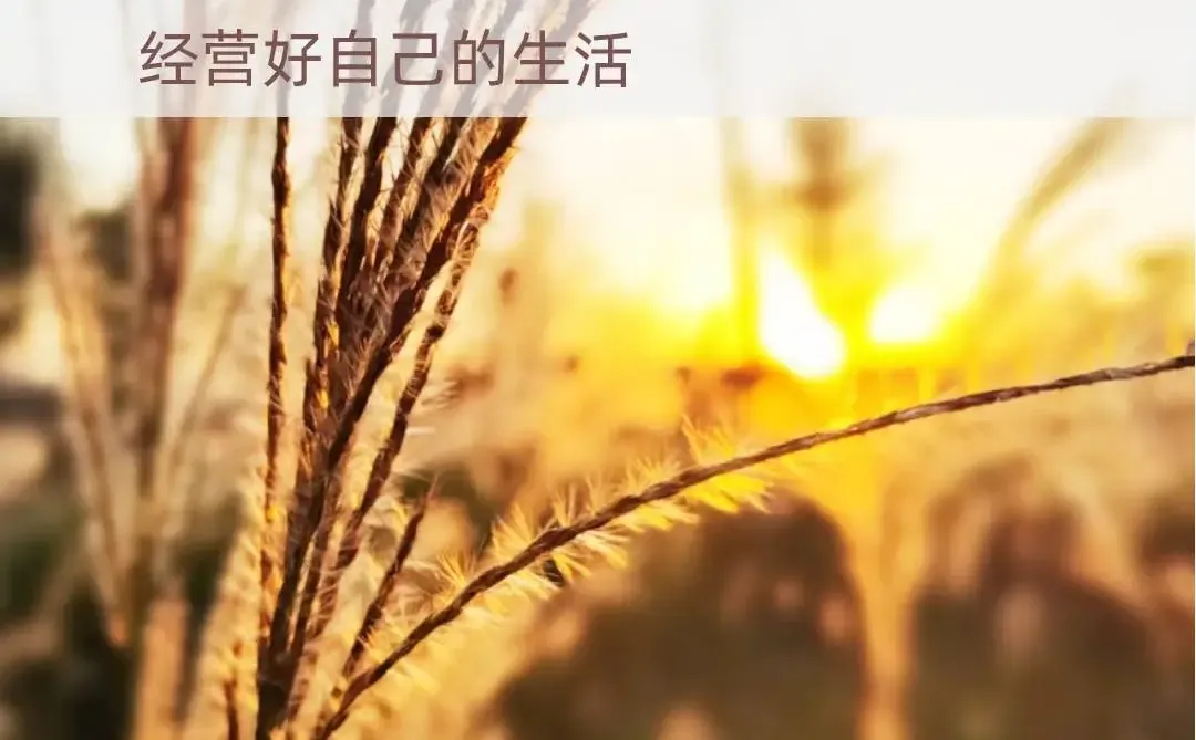 婚姻不是终点站