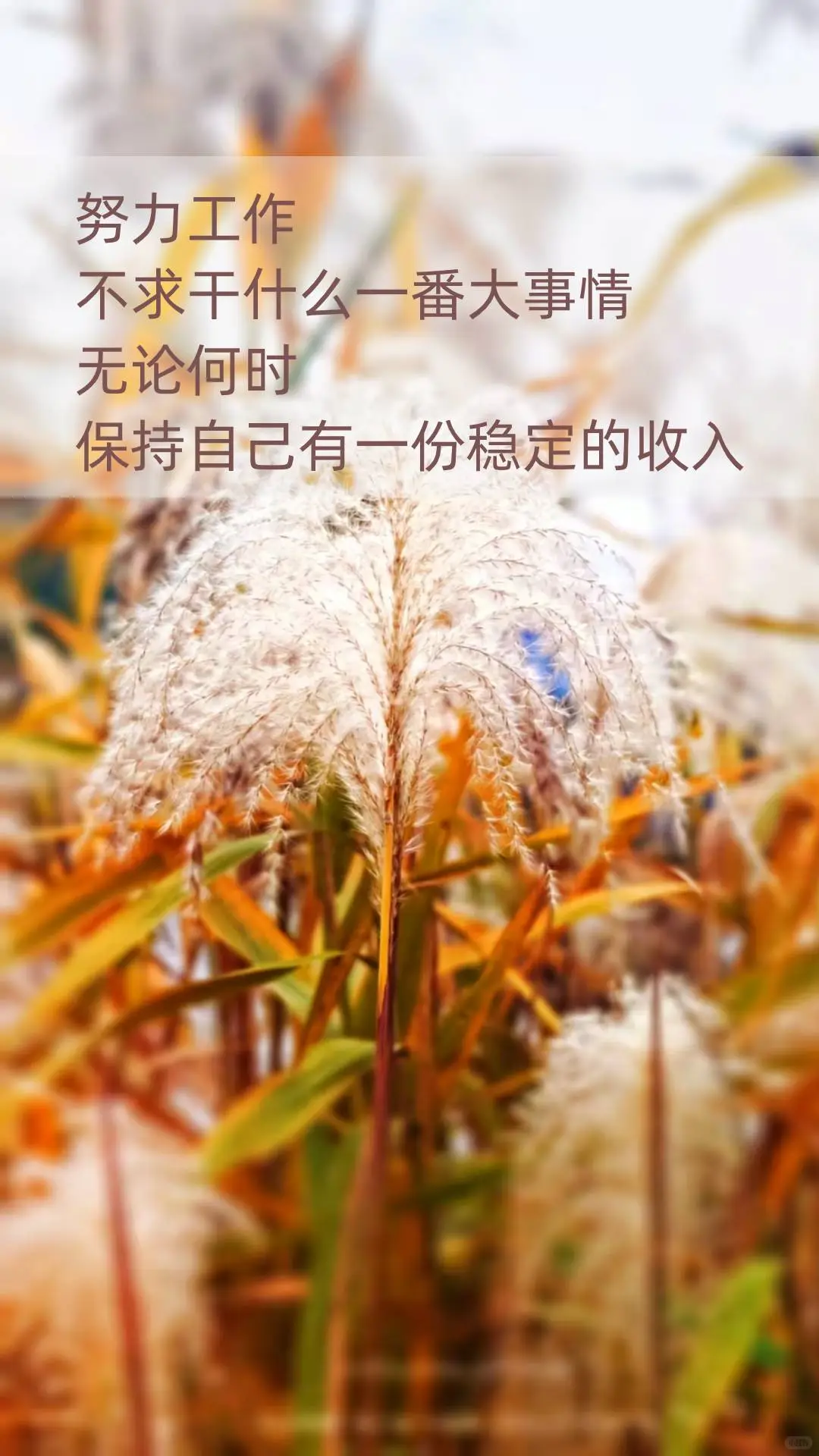 婚姻不是终点站