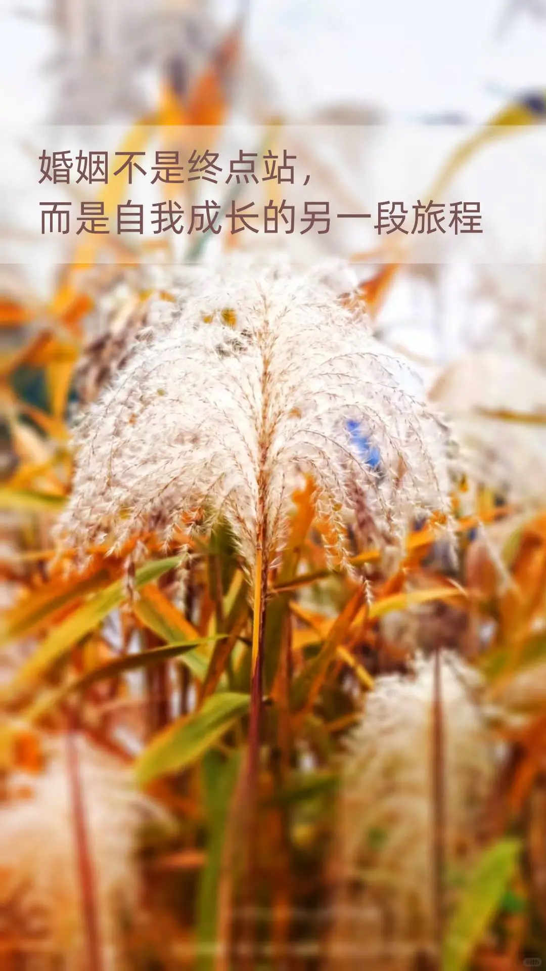 婚姻不是终点站