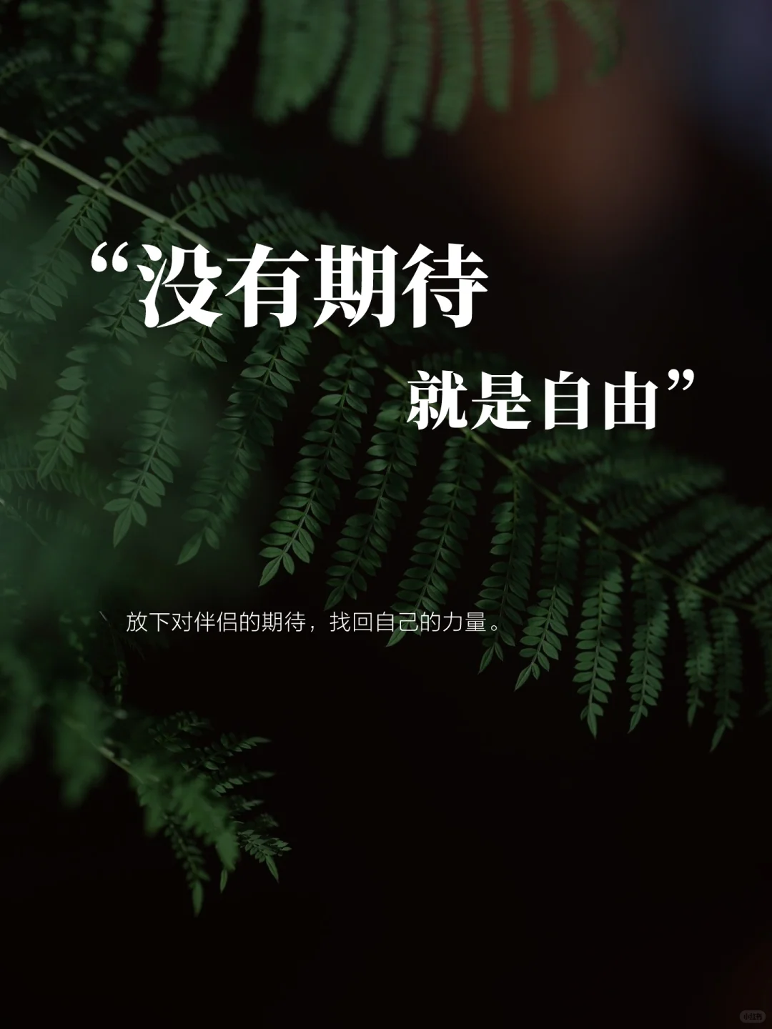 没有期待，才是婚姻里真正的自由