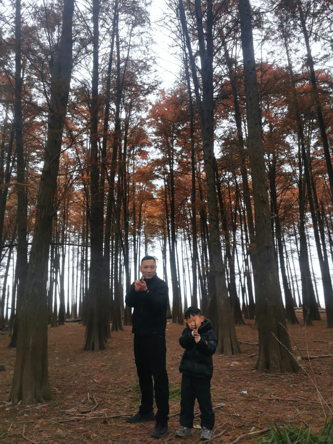 宁波四明湖｜被红杉林和瀑布惊艳的一天