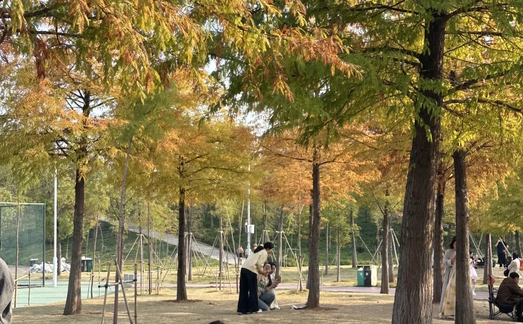 南宁小众宝藏地