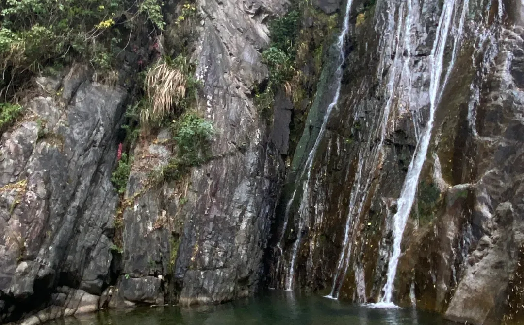 宁波四明湖｜被红杉林和瀑布惊艳的一天