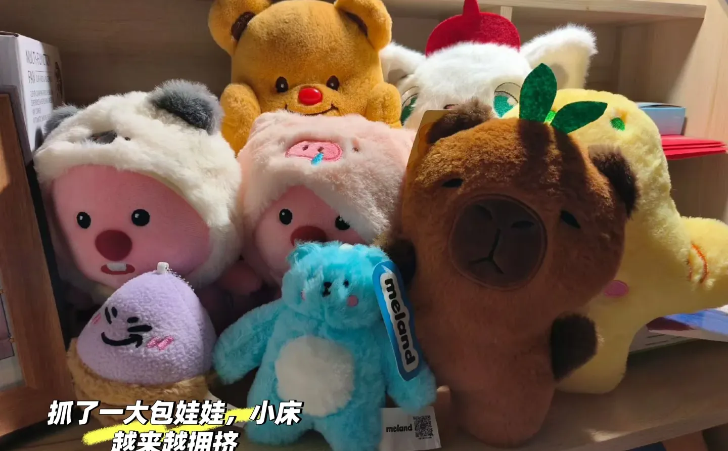 这男朋友非要不可吗