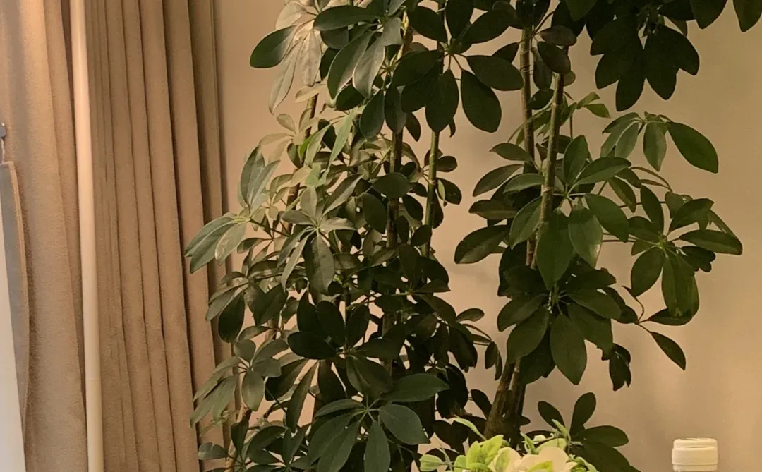 遇到感情问题了？情感咨询一下吧！有效不贵