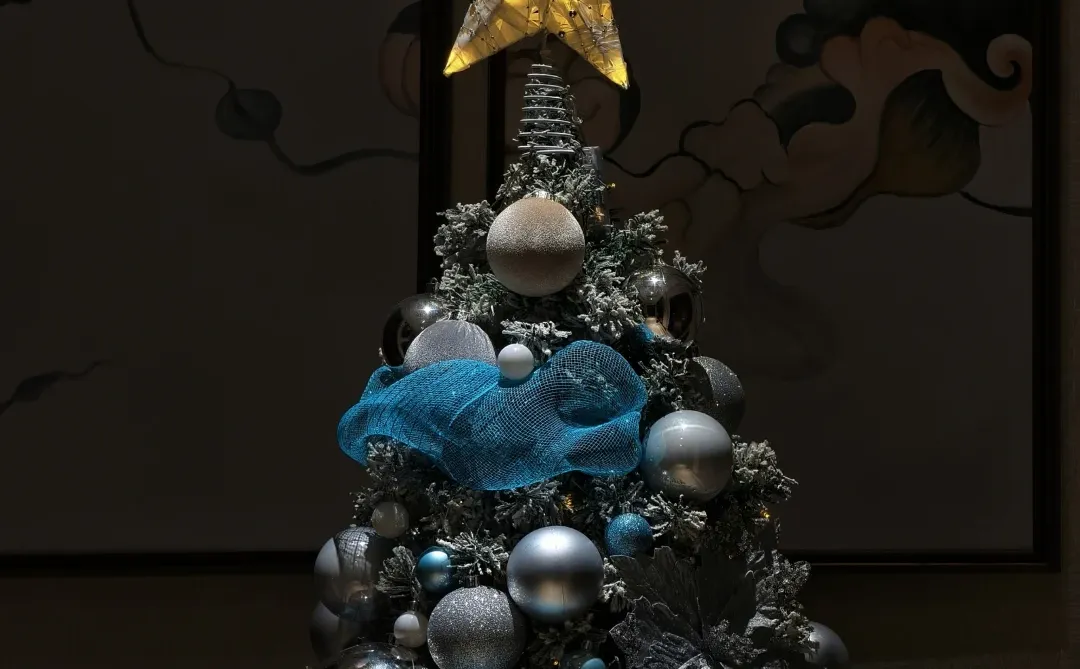 Christmas Tree︱我家的圣诞树会发光