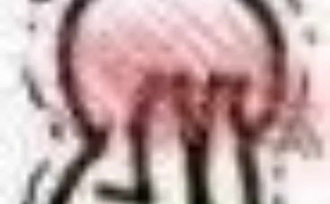 🆘和男朋友半夜把床单弄湿了一片…