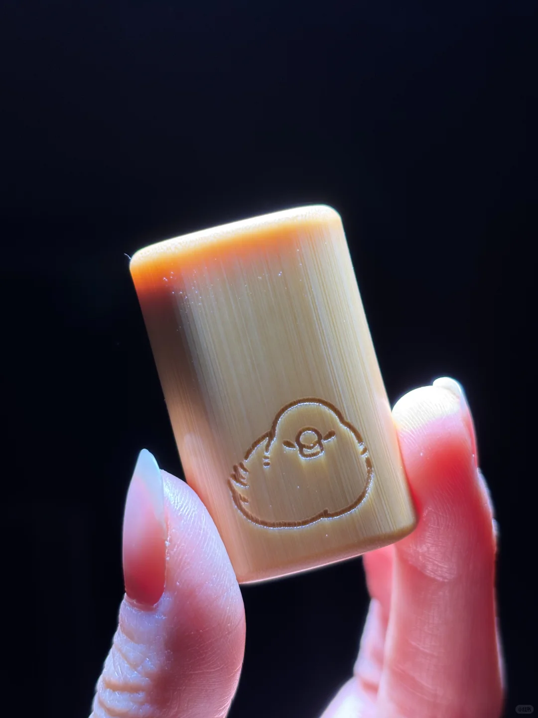 小竹子的第三天