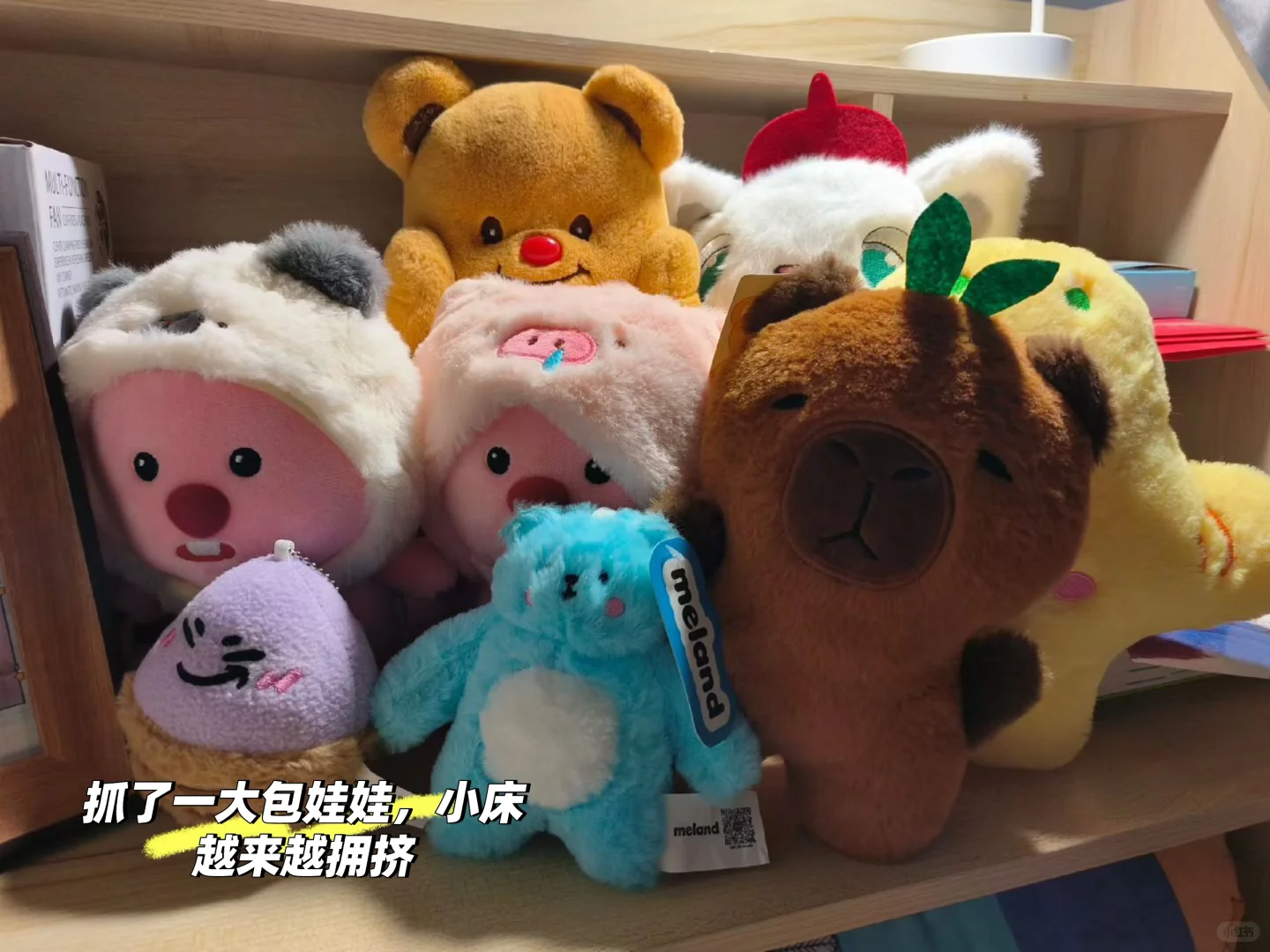 这男朋友非要不可吗