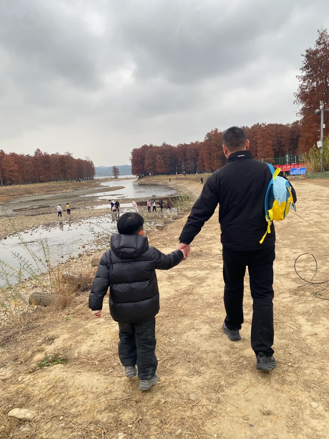 宁波四明湖｜被红杉林和瀑布惊艳的一天