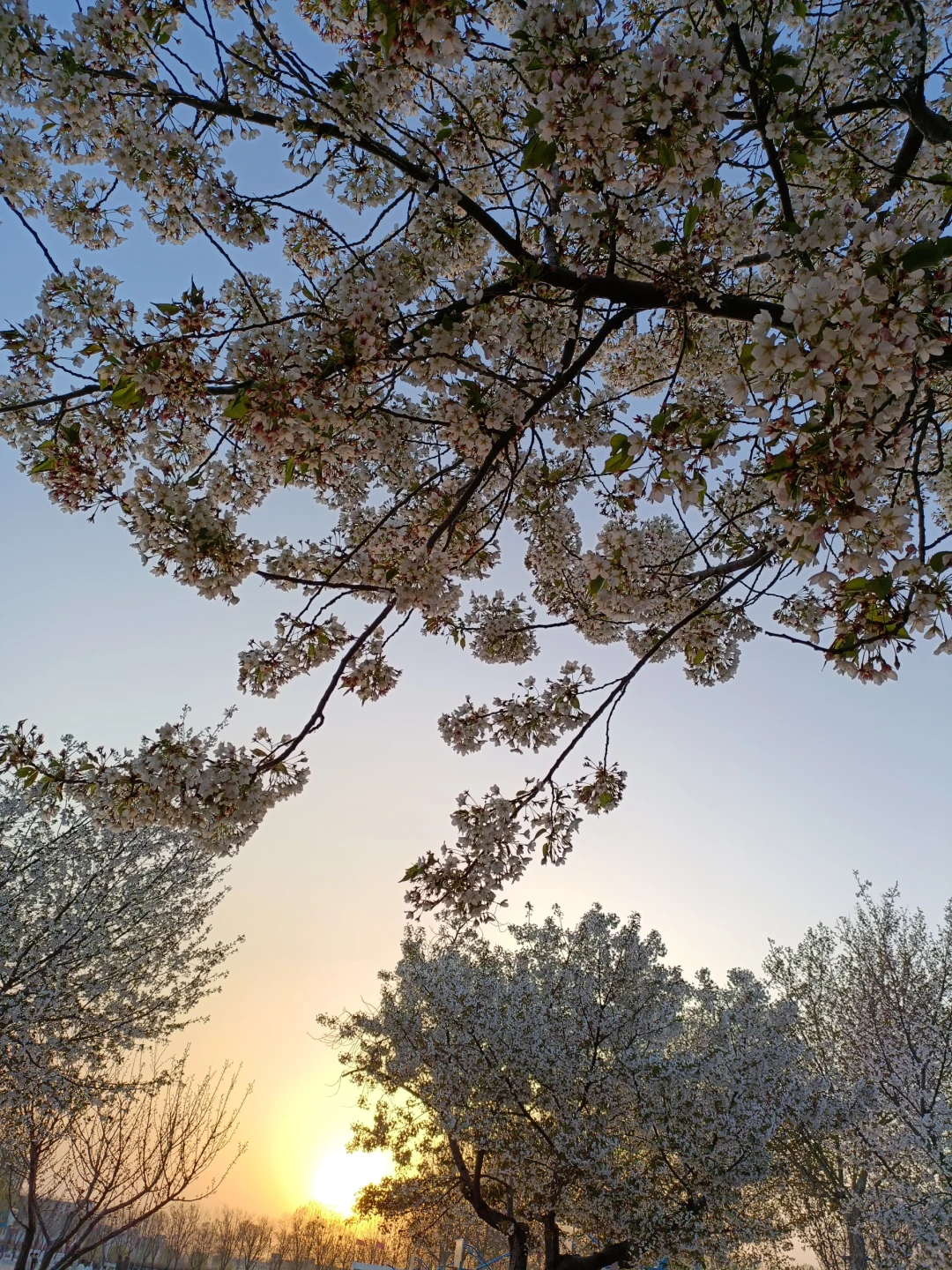 和男朋友第一次亲亲是什么感受