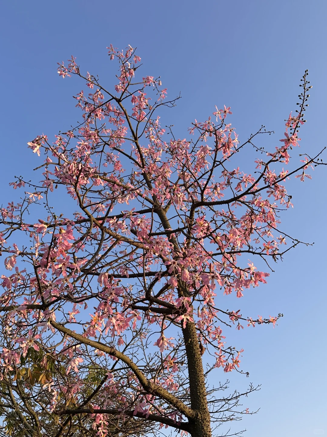 南宁小众宝藏地