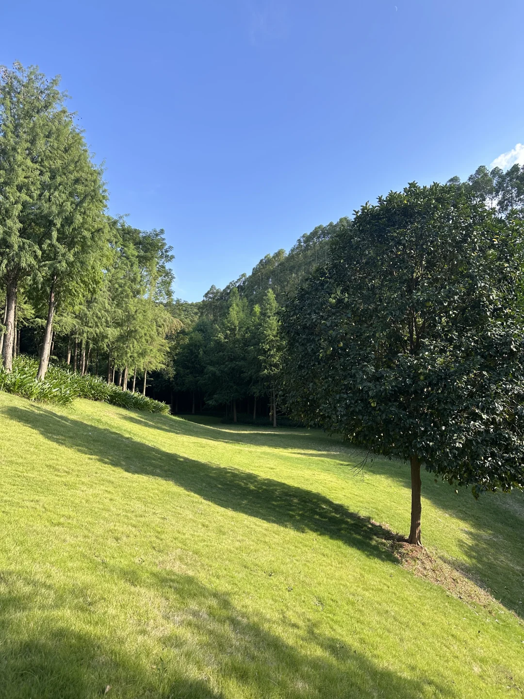 南宁小众宝藏地