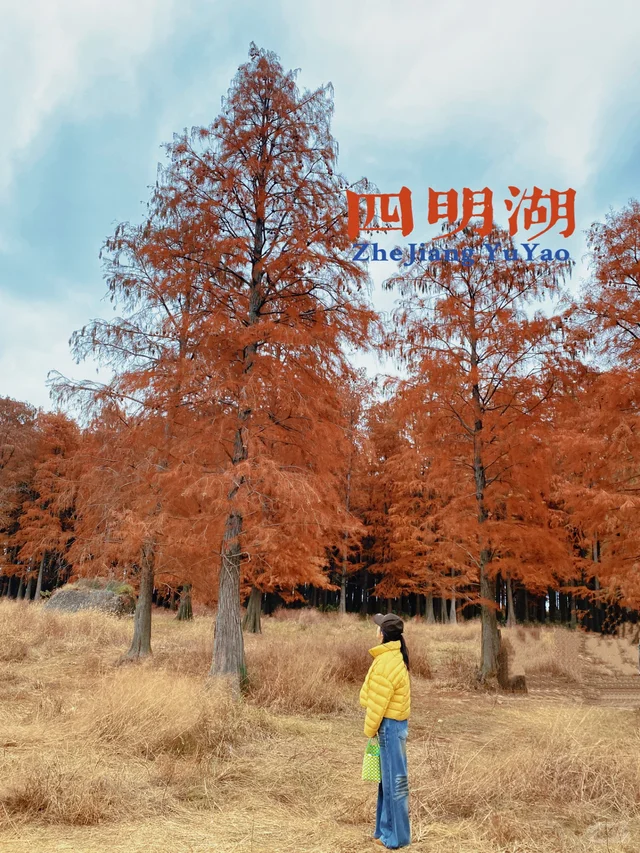 宁波四明湖｜被红杉林和瀑布惊艳的一天