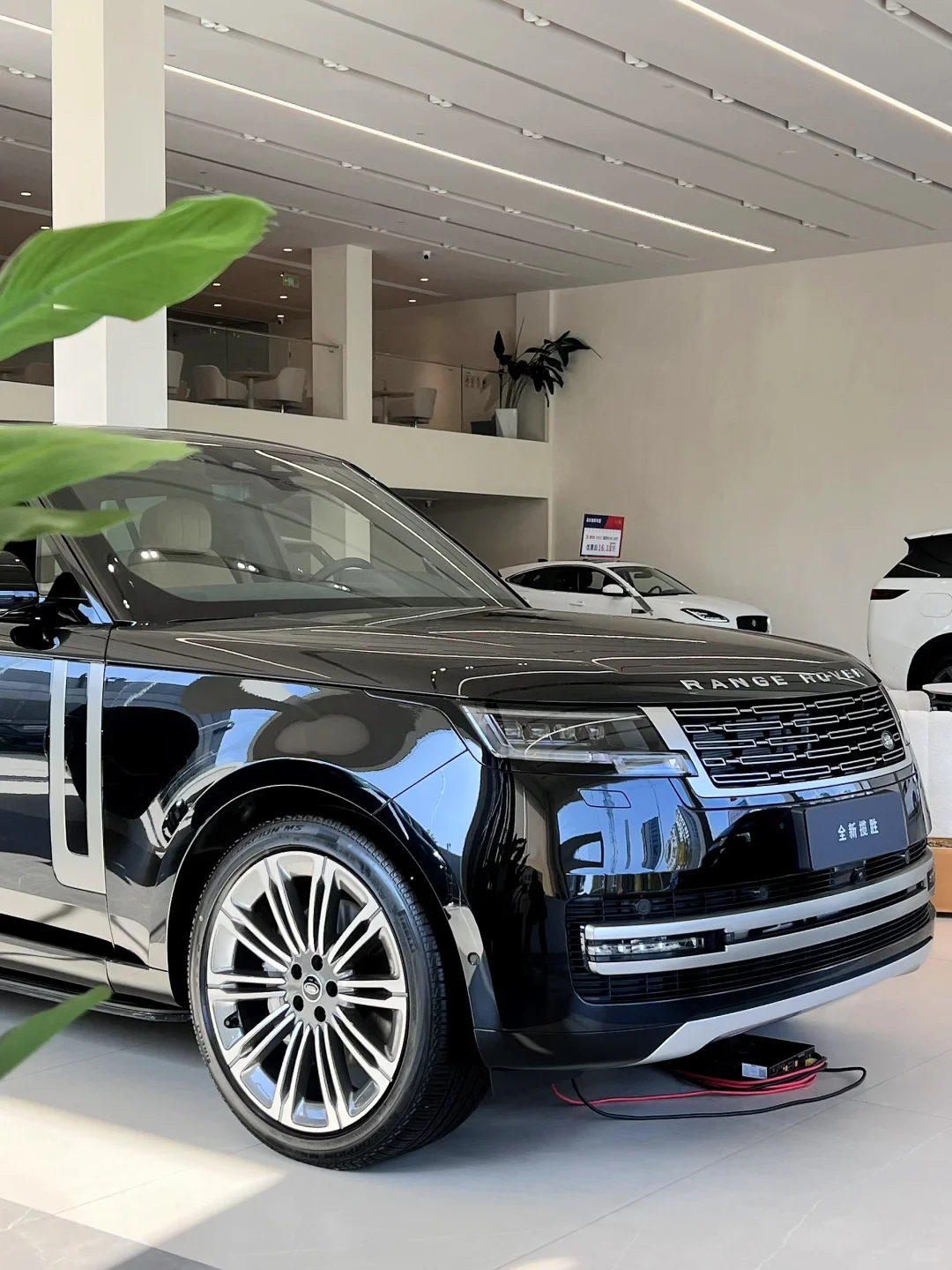 开上揽胜就还会自卑吗？