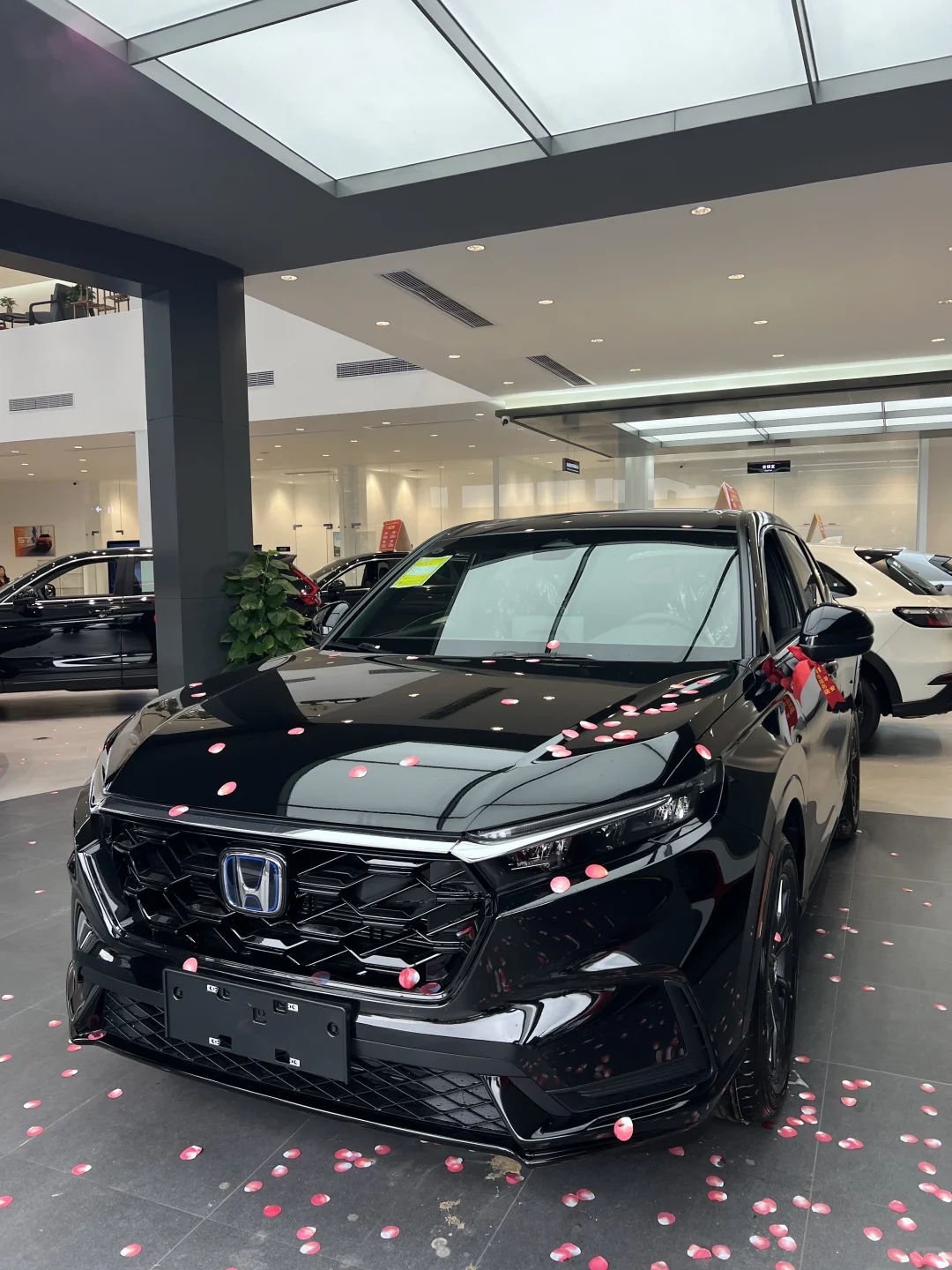 🚗💖「和老公一起提了混动CRV！省油又能装，家