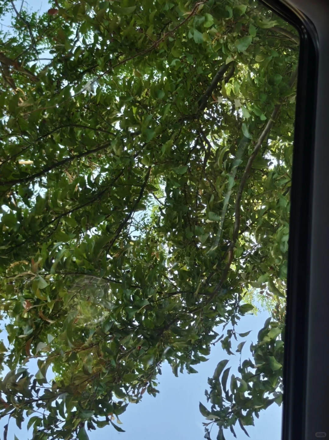 月薪3k开上SUV，优雅永不过时✨