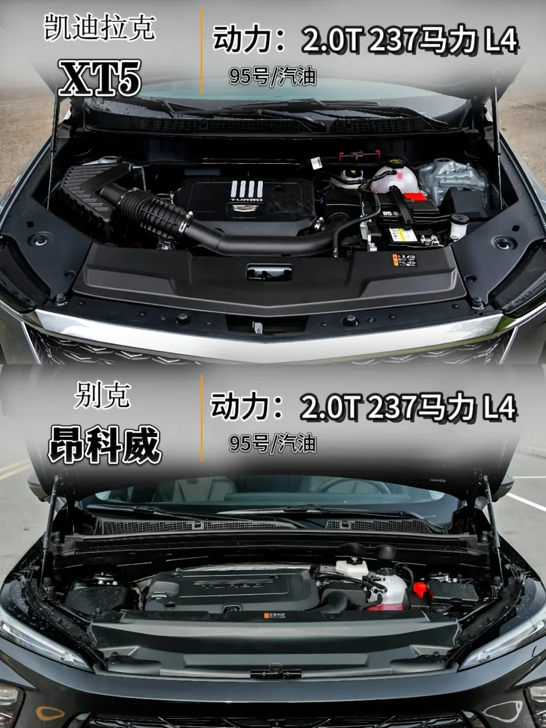 XT5对决昂科威！豪华VS实用怎么选？