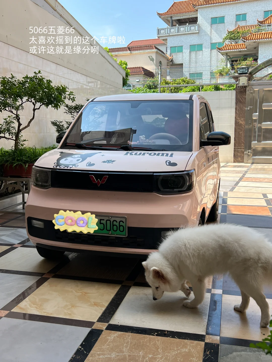 全款6300💰拿下了梦中情车小五菱‼️