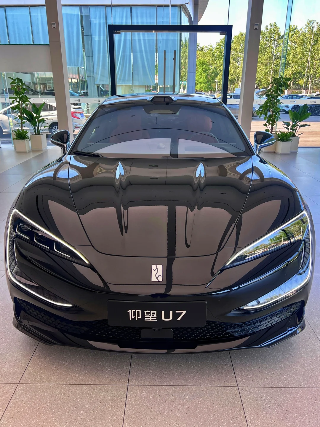 仰望家的小帅💛