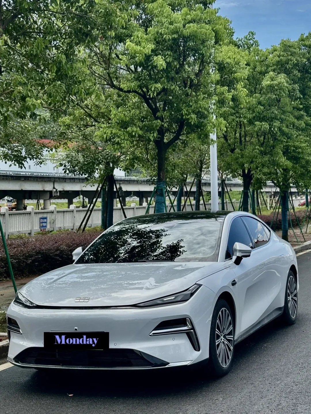 插混界‘帕梅’ 最强省油王|星耀8