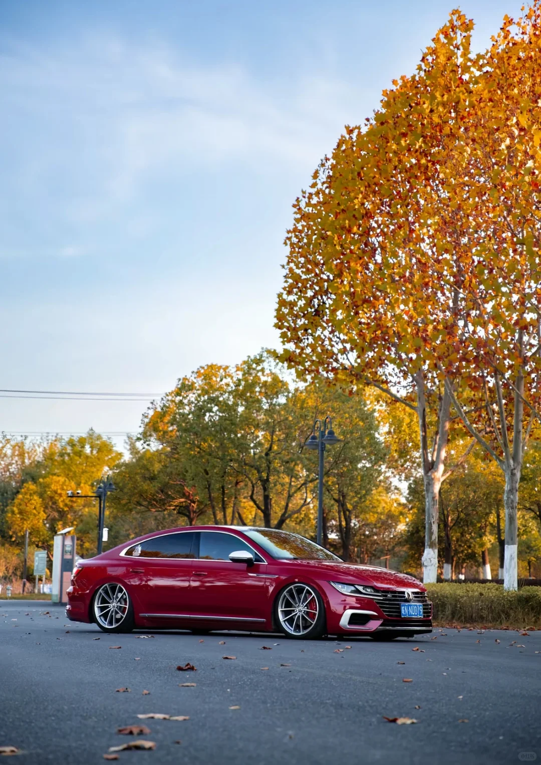 你的cc是什么颜色⁉️