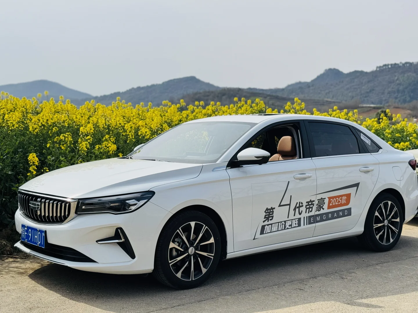 把车停在了花丛里🌷