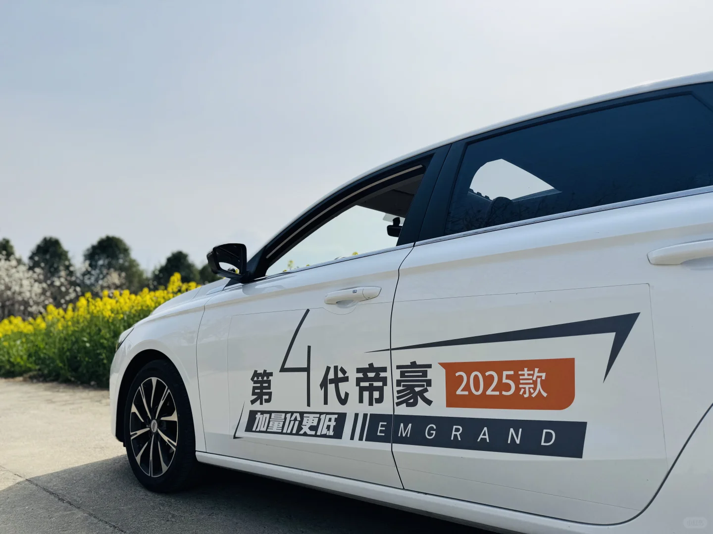 把车停在了花丛里🌷