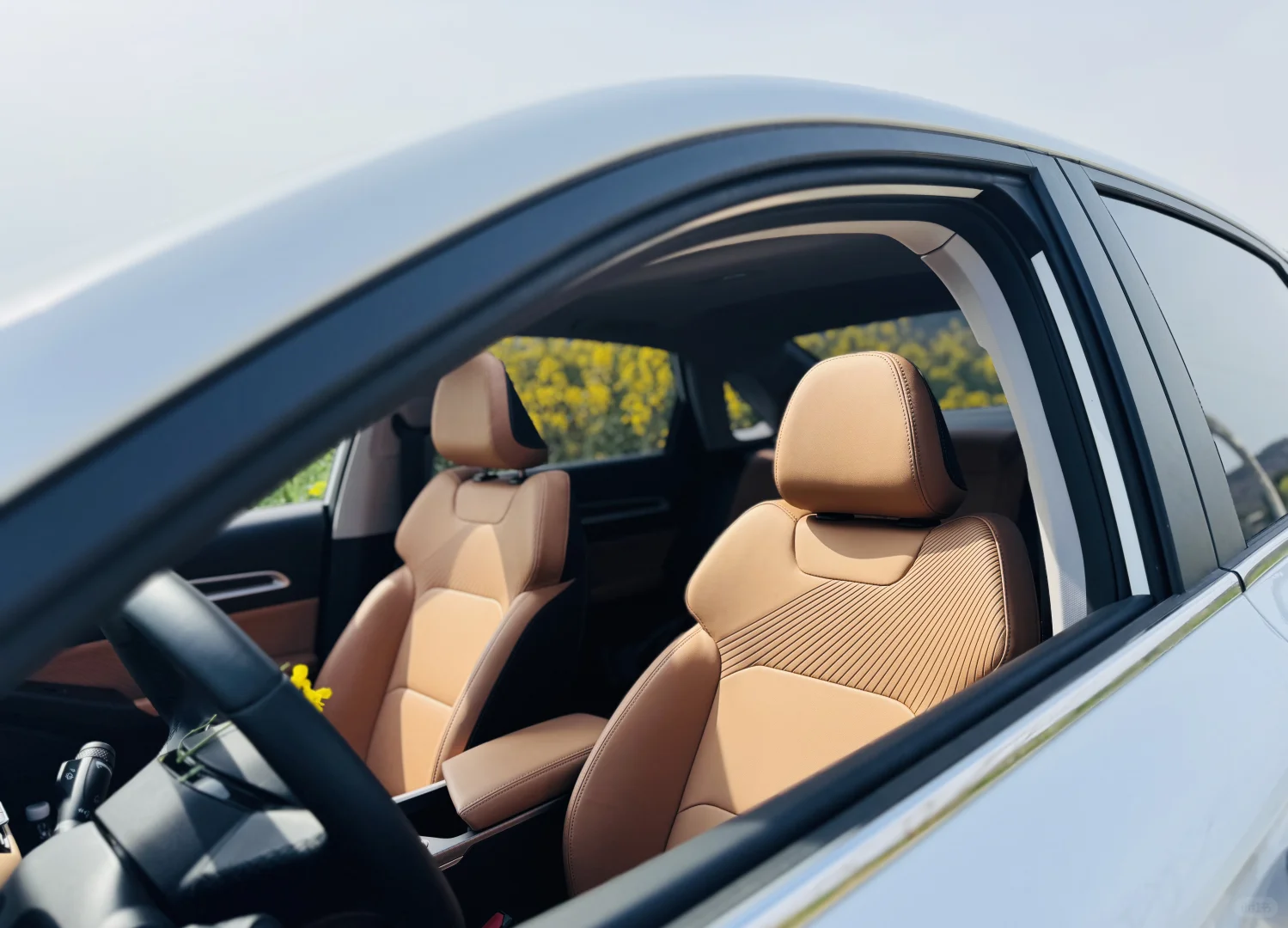 把车停在了花丛里🌷