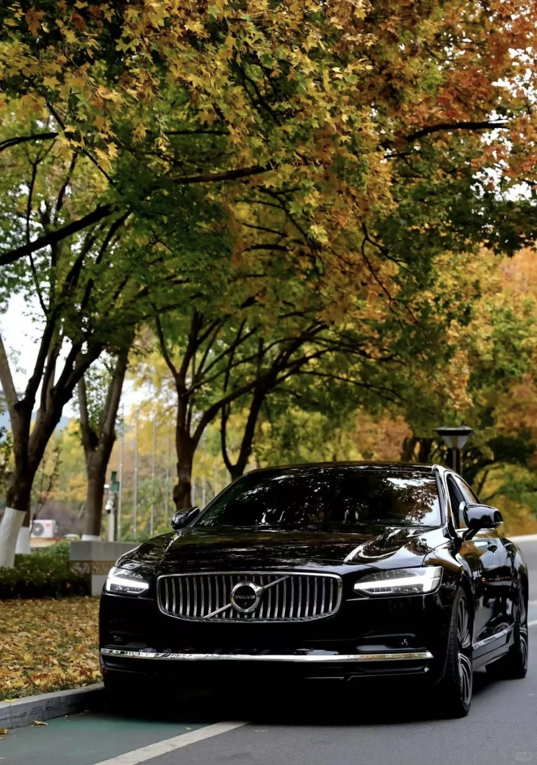 北欧豪华轿车 沃尔沃S90 为什么选它？