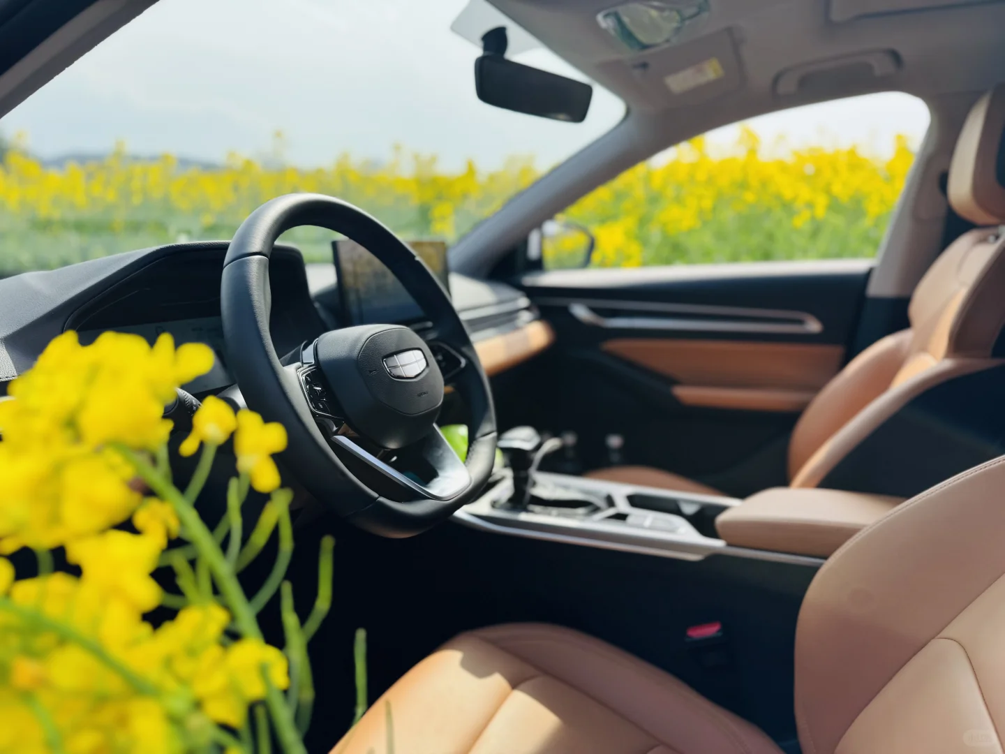 把车停在了花丛里🌷