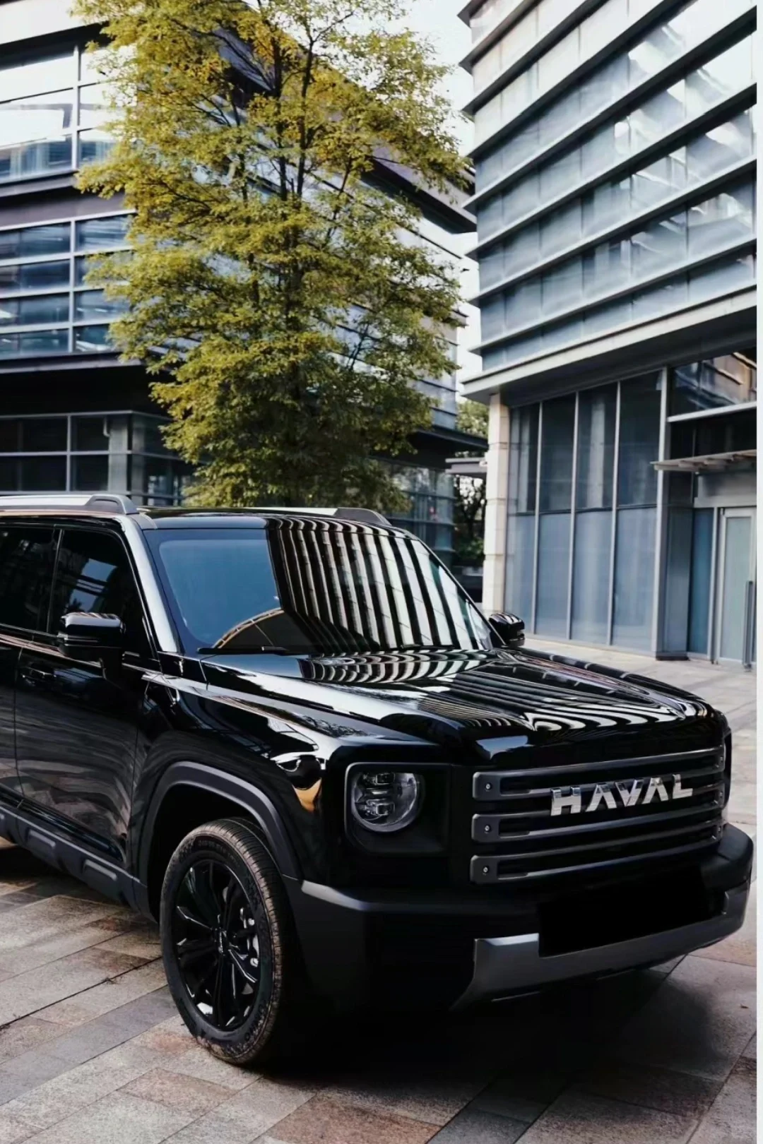 真听劝！不看牌子，各位求一些建议！