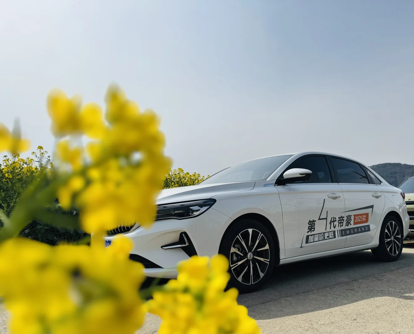 把车停在了花丛里🌷