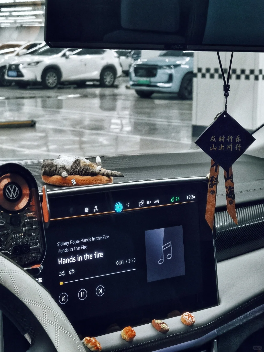 大众|探岳300，我的大玩具满月啦