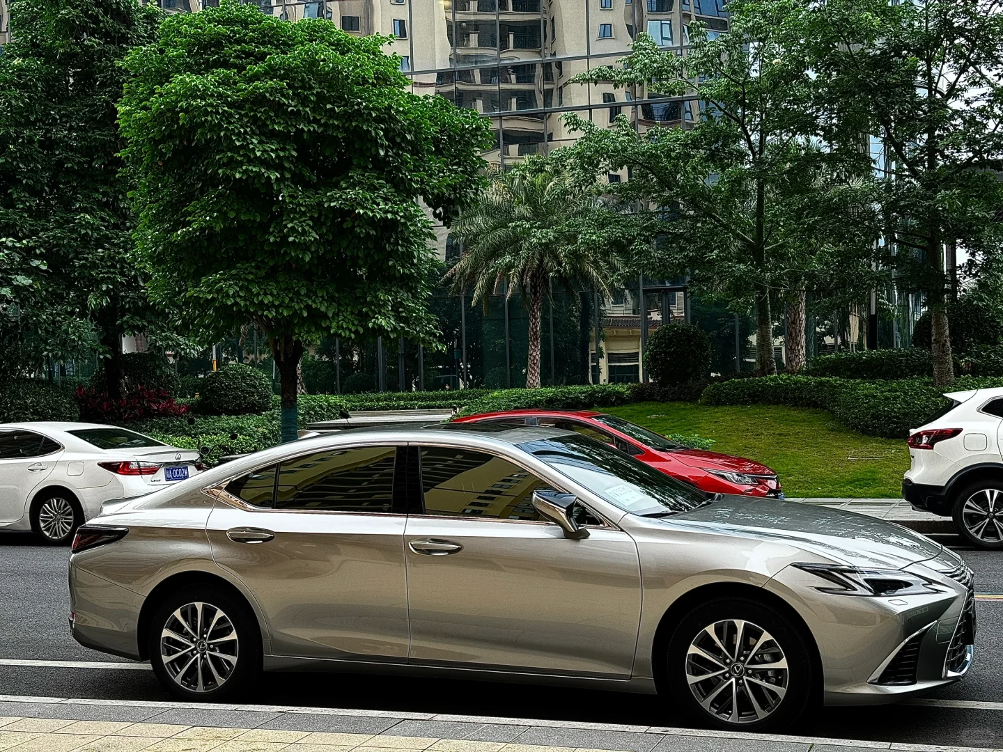 这是我一眼万年的车车啊！