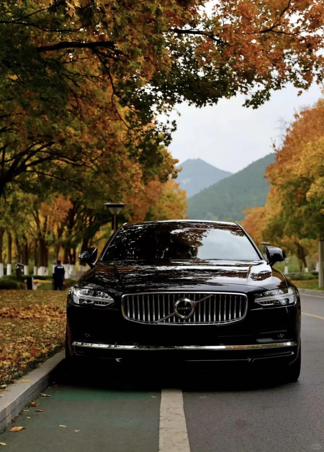 北欧豪华轿车 沃尔沃S90 为什么选它？