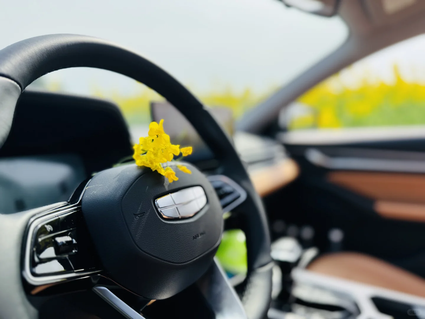 把车停在了花丛里🌷