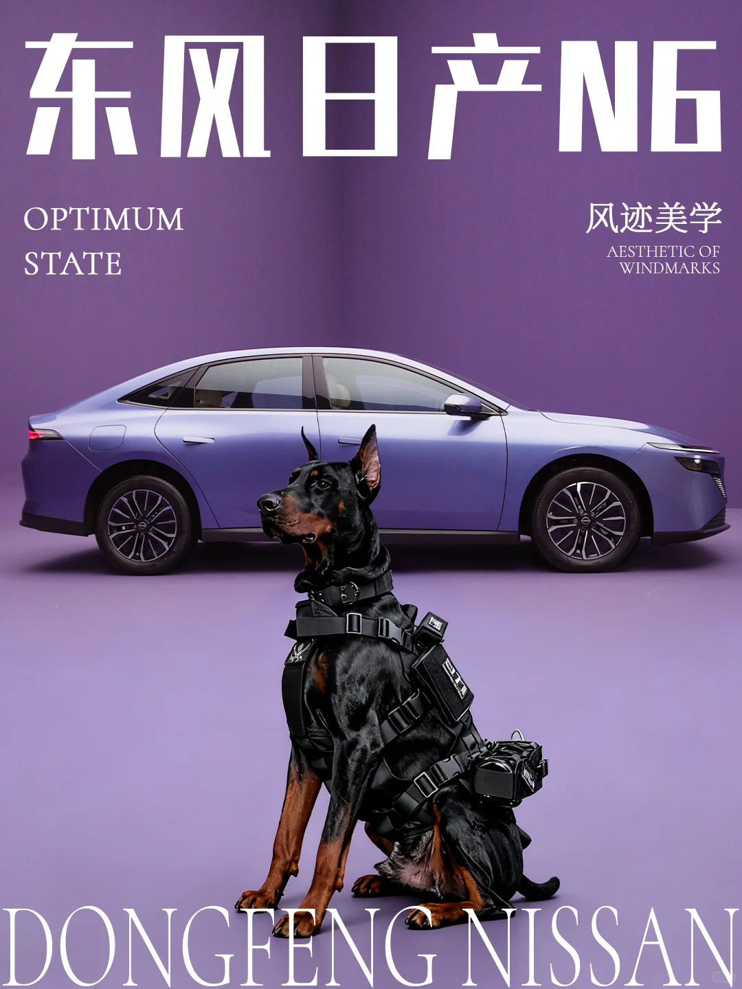 东风日产 N6× 潮酷萌犬｜风迹美学谁能不爱
